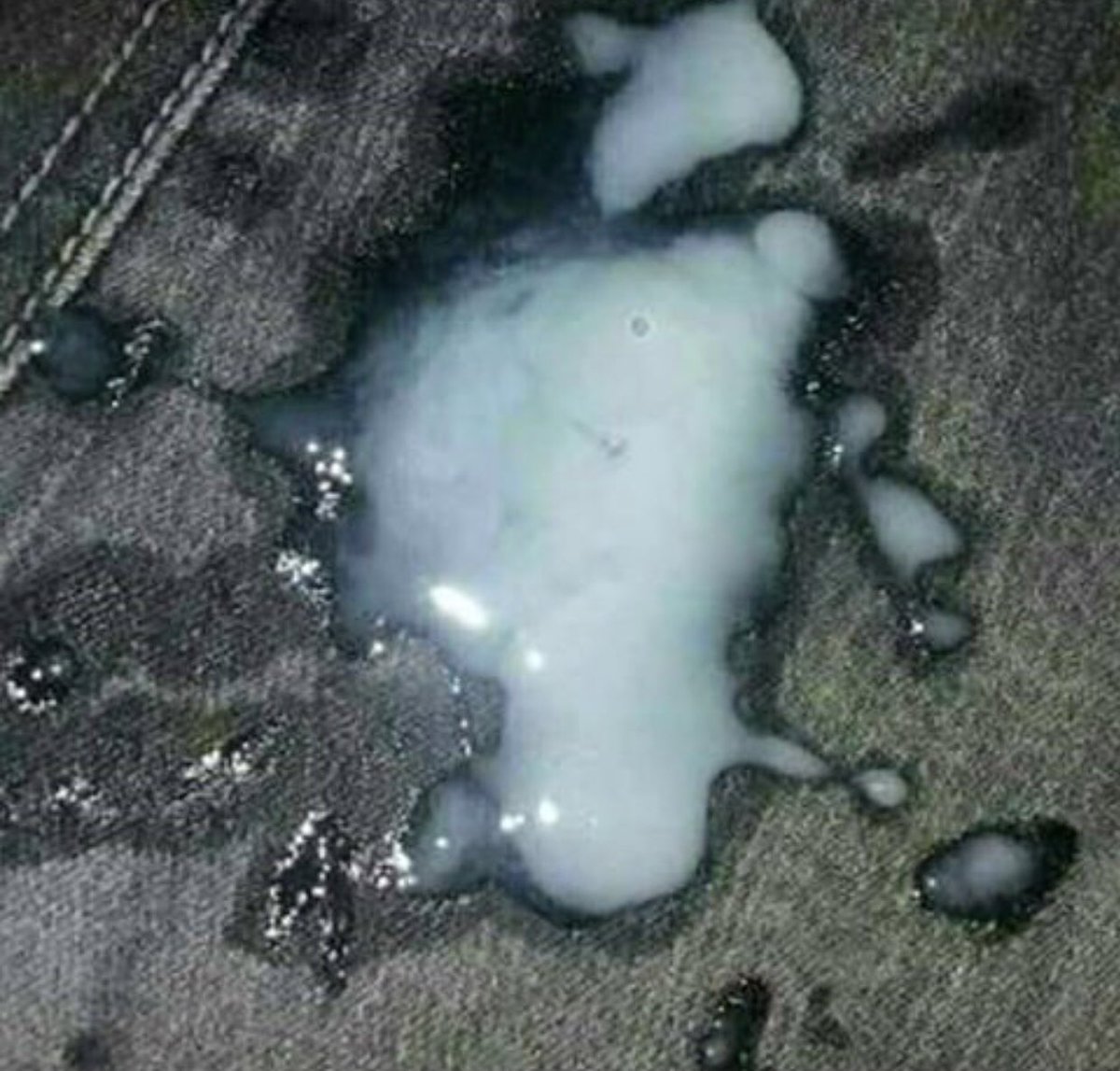 fernand81016079's tweet photo. 8=====D💦 https://t.co/GDoao6XgZO