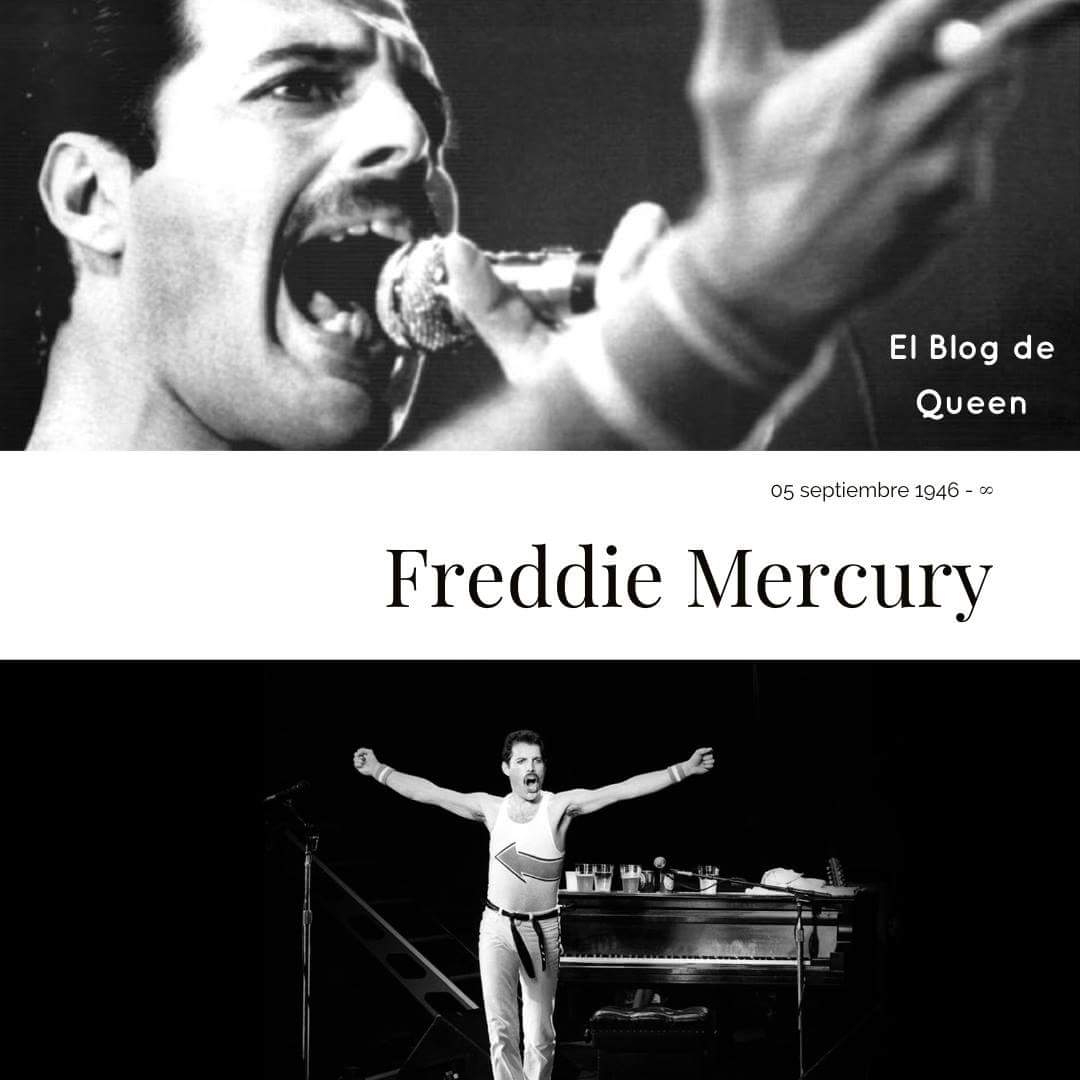 Serían 72 años.
Freddie es inmortal!
@QueenWillRock @DrBrianMay @OfficialRMT @adamlambert