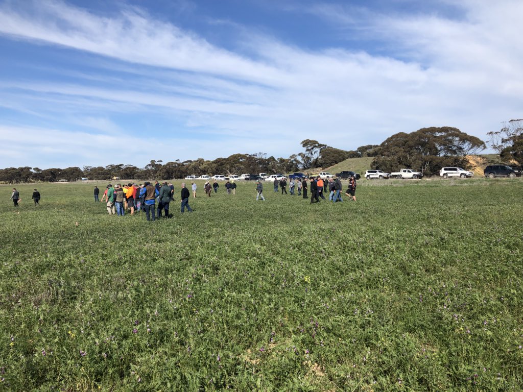 Matt Witney (@dmag_consultant) on Twitter photo Dodgshun medlin SA field day has begun !! <a href="/SeanM_DMAg_SA/">Sean Matthewson</a> <a href="/DSchub11/">David Schubert</a> <a href="/dodgie/">David Dodgshun</a> #pinaroo 1st stop Dodgshun medlin SA field day has begun !! <a href="/SeanM_DMAg_SA/">Sean Matthewson</a> <a href="/DSchub11/">David Schubert</a> <a href="/dodgie/">David Dodgshun</a> #pinaroo 1st stop