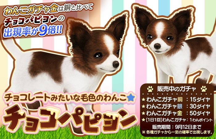 公式 てのひらワンコ ぶるたん Tenowan Twitter