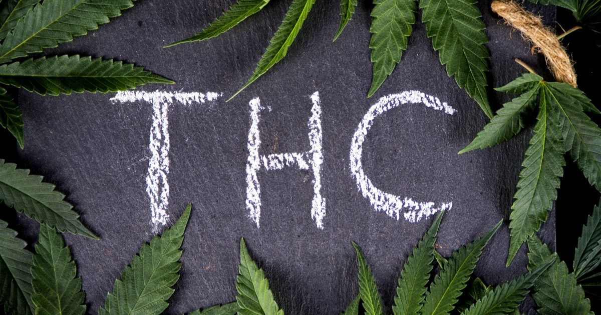 High THC Strains and Their Effects On Your Brain and Body buff.ly/2NlNPy6