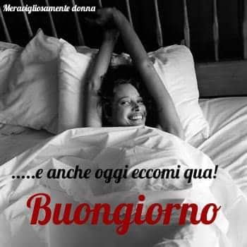 Graziella Bracchi on Twitter: "Buongiorno buon mercoledì 🥀 🥀 🥀 🥀 🥀  https://t.co/t2BbT1uhy1" / Twitter