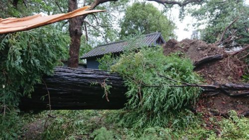 deeptechno1's tweet photo. 台風21号の影響😢 https://t.co/68RlvzT4OW https://t.co/2ofUEZVpj7