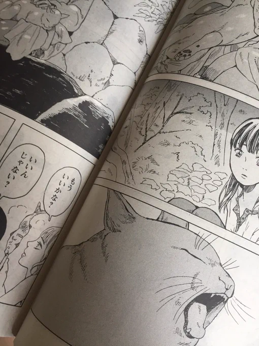 9月4日発売の漫画アクションにて「ウォーキング・キャット」7話掲載されています!
よろしくお願いいたします。 