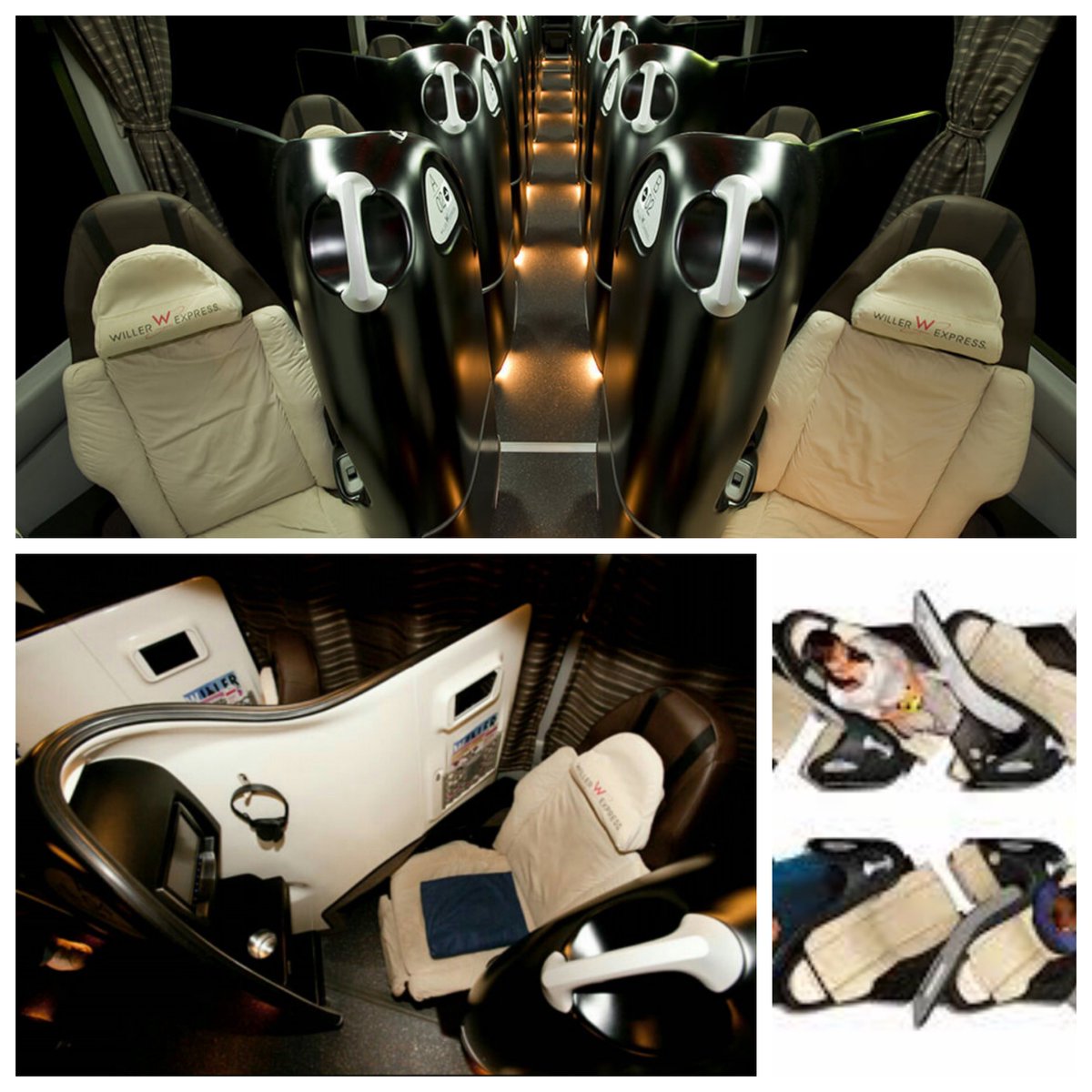 グニャラくん ドリームルリエのプレシャスクラスで東京行こうかと思ったけど 西日本ジェイアールバスはトランク預け荷物が100サイズまででつらいので 155サイズまで預け入れ可能な ウィラーのコクーンシートにした