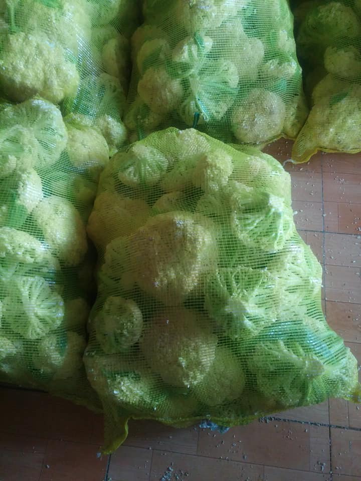 Ченжүүд дэндү хямд авах гд байх.Цагаан брокколи 10кг нь 15.000 төгрөг хаягаар хүргээд өгвөл авах хүн байна у?супермаркетуудад 1кг нь 6500-8000 төгрөг гдэг.Маркетер,хөргөлттэй зоорьтой,нарийн ногооны бизнес хийдэг,кичины үйлдвэр цехтэй хүнтэй хамтарч ажиллана!!!Утас:88777755.. гжэ