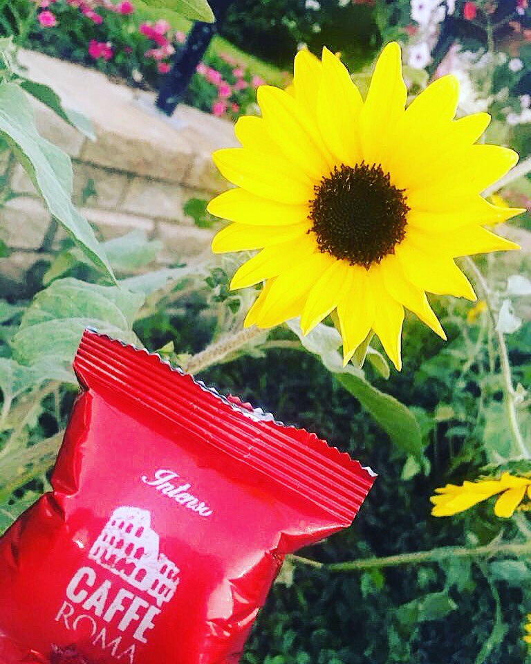 cafferomauae's tweet image. I'll take a coffee with my sunshine ☕️🍃🌼

#theitalianwayuae #theitalianway #italiancoffee #coffee #coffeecup #cupart #coffeetime #dxb #it #mydubai #dxblife #uae #mycoffee #coffee_inst #coffeeholic #coffeeology #coffeephotography #photooftheday #potd #iger #coffeeigers