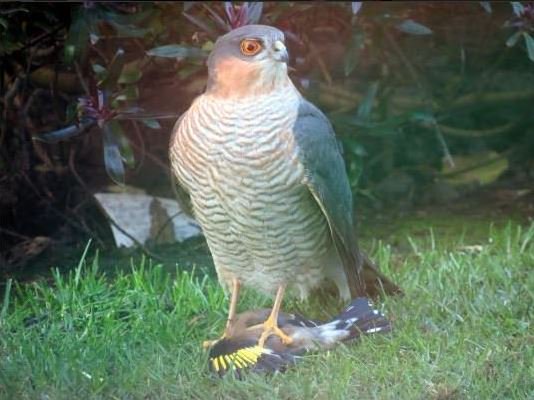 Robert 💙 tweet media