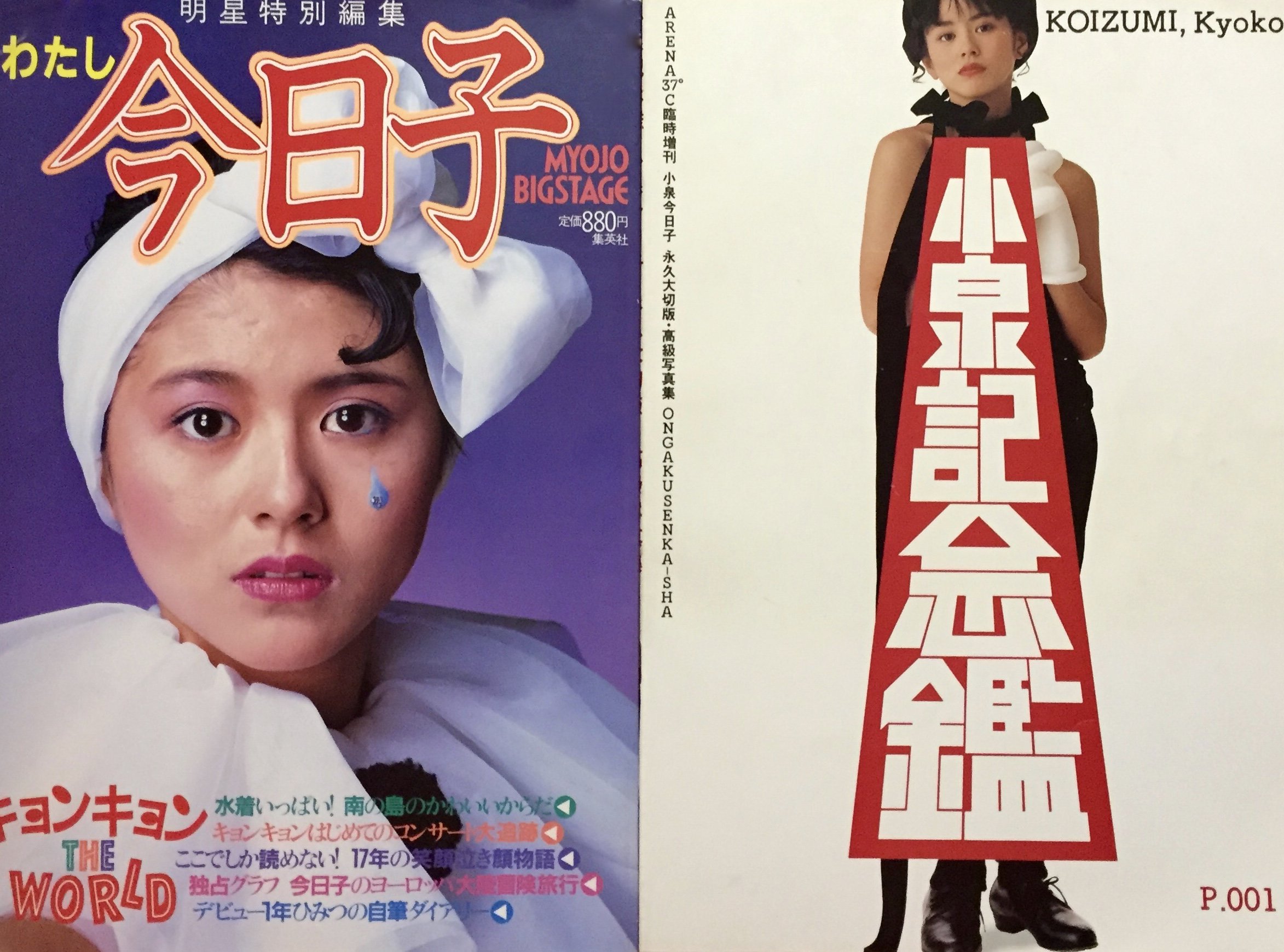 小泉今日子/写真集/わたし今日子