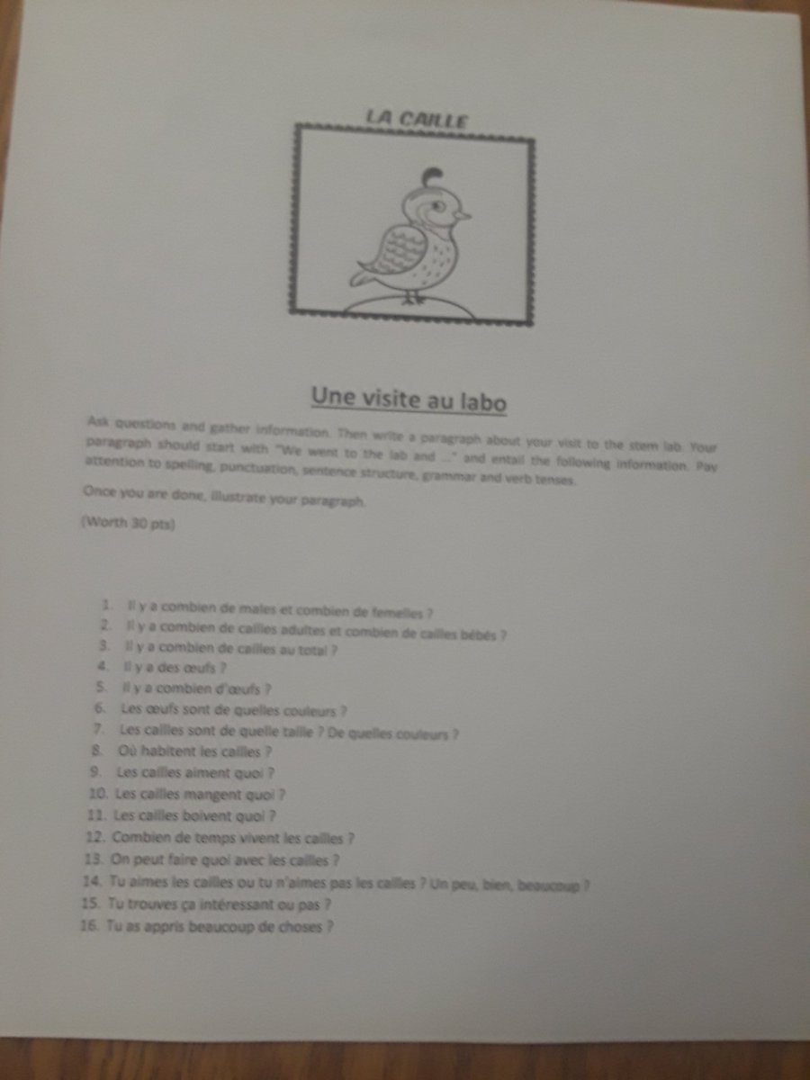 GrundSabrina's tweet image. On a visité le labo! When STEM &amp;amp; Work Languages go 👭 @apscskywla Merci @MsLPena 😍🐤🐣 #quails #passécomposé #french @gadoeworldlang @APSWorldLang