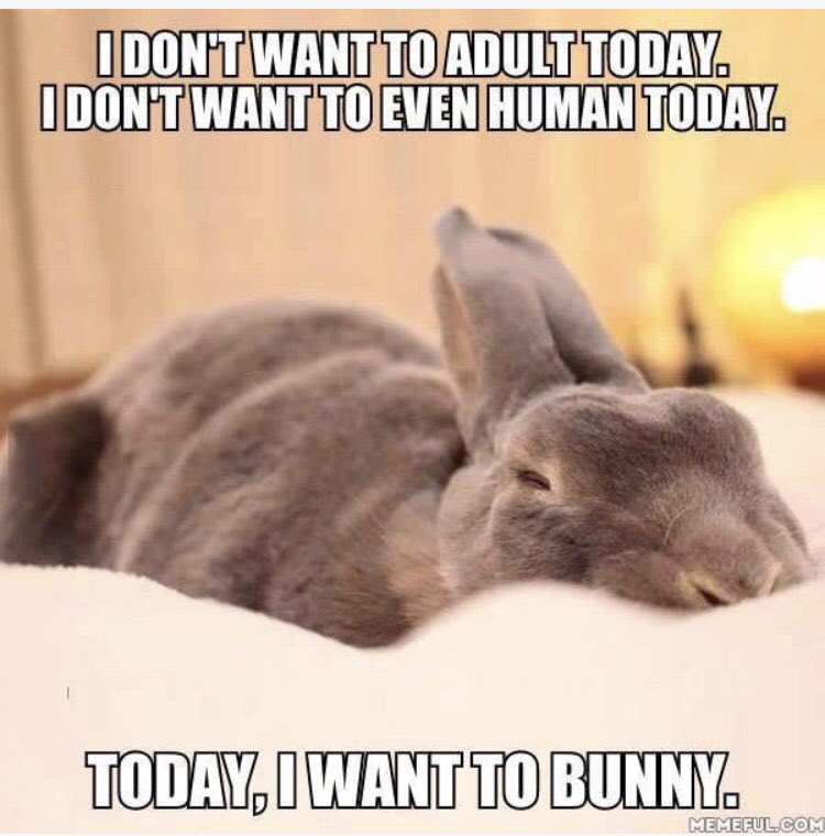 AmyJ_2014's tweet photo. This is me right now! #grantwriting has led me here! https://t.co/7LFIzKosFa