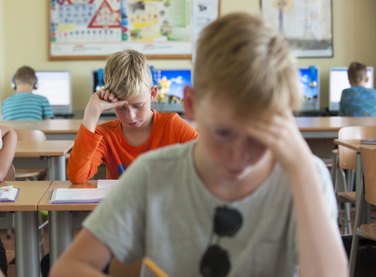 cursusced's tweet photo. Benieuwd naar de denkprocessen in brein van leerlingen? Schrijf dan in voor de cursus ‘Het lerende brein’. Voor Zwolle kan dat nog tot 10/9 https://t.co/vW1cFWrSGH 
@Breinsleutels https://t.co/nHcwnk2oVc