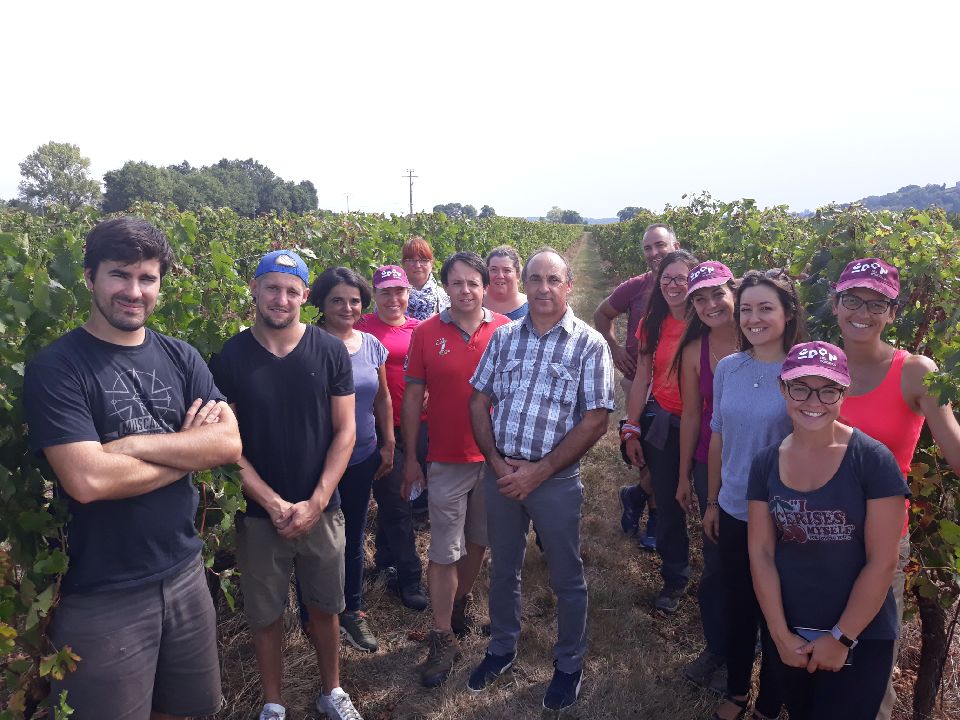 FFPV20's tweet photo. Sous le coaching #GDON Bdx @PlaneteBordeaux, les #pépiniéristes 33 Sud Ouest et @chambagri33 en prospection pour lutter contre la Flavescence Dorée! https://t.co/cUhYANRT0M