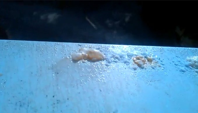 View image on Twitter