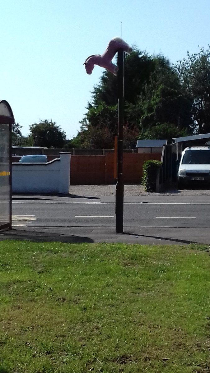 OutdatedModel's tweet image. There's an abandoned toy pony in my area and it keeps being moved around. I've been documenting it's travels