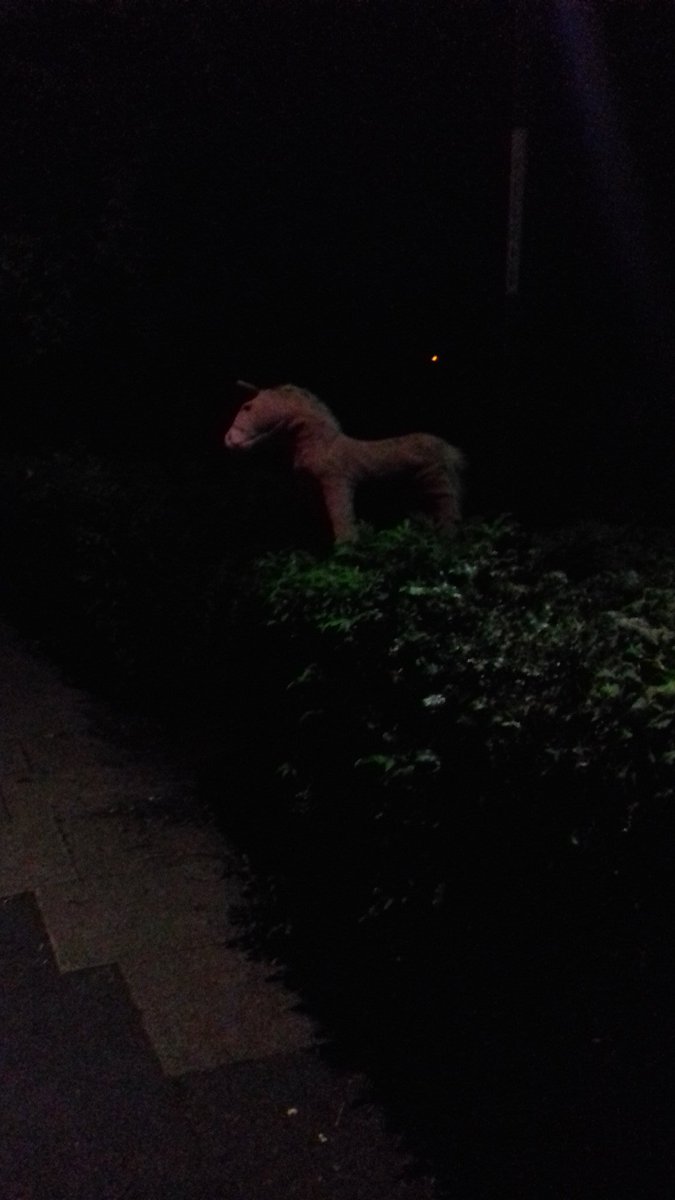 OutdatedModel's tweet image. There's an abandoned toy pony in my area and it keeps being moved around. I've been documenting it's travels