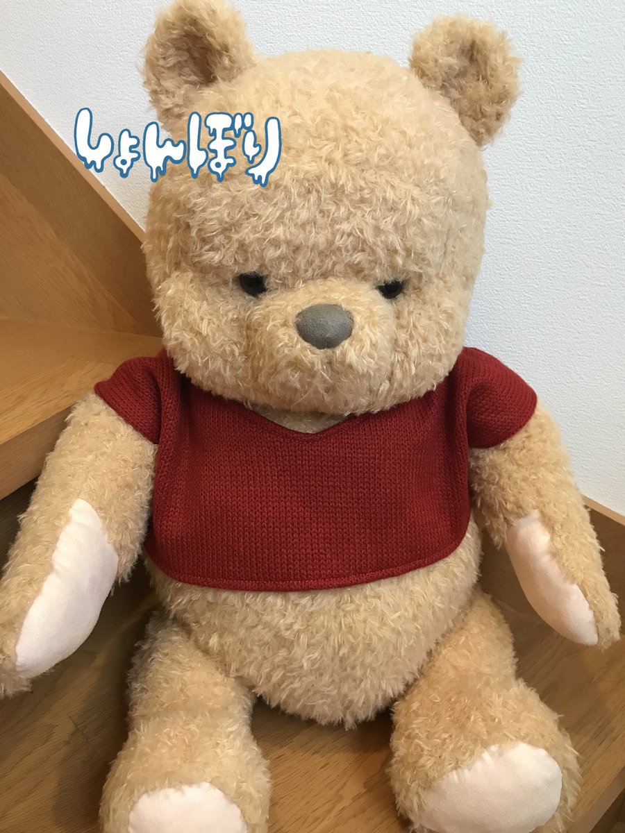 なほ プーさんのリアルサイズぬいぐるみ 買っちゃった プーさん買い過ぎだから迷ったんだけど 後で後悔しそうだったから 買った でも買ってよかったー 可愛いよ なんか下向いてたけど ちびプーと一緒になったら元気になったー