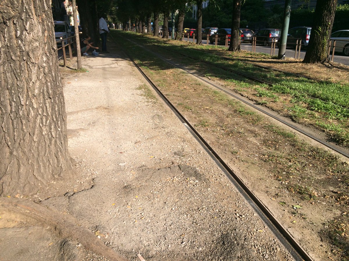 lashibumi's tweet photo. .@atm_informa bellissimo il viale alberato ma senza il marciapiede alla fermata 10992 l'arrivo del tram è pericoloso https://t.co/Um3NQgpsQY