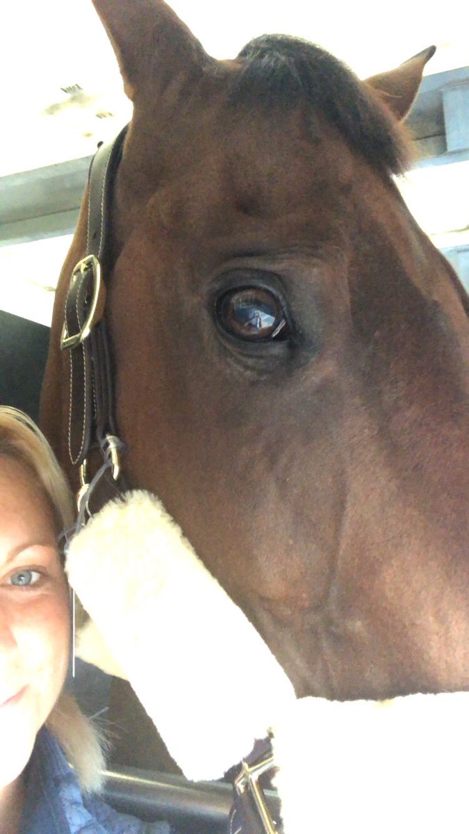 Very special Cargo all safely loaded onto the plane this morning. <a href="/TeamGBR/">Leyton Team GBR Offshore</a> horses are on their way. #ArcticSoul #mainman #myboy #lovehim 💙💗 #WEG