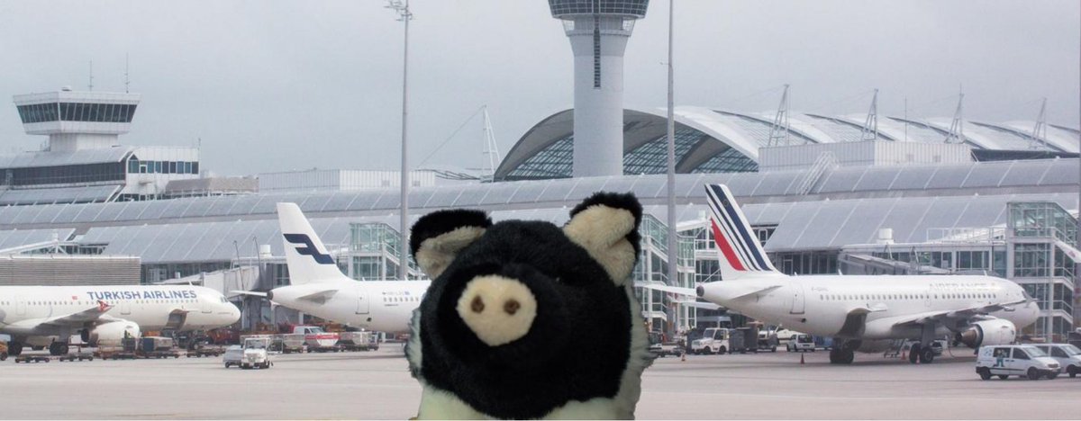 muzik_michael's tweet image. Do you know how an OCC Allrounder and an „eierlegende Wollmilchsau“ (German, literally “egg-laying wooly-milk-pig”) might be linked? Please have a look at the blog of my colleague Tim Nickel: lnkd.in/dNp54EF
 #findtherightpartner #airlineconsulting