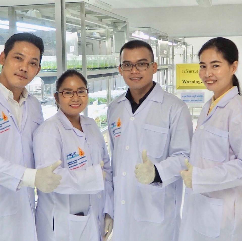 M Sixty Nine Thailand M69 (@M69Thailand) / Posts / X