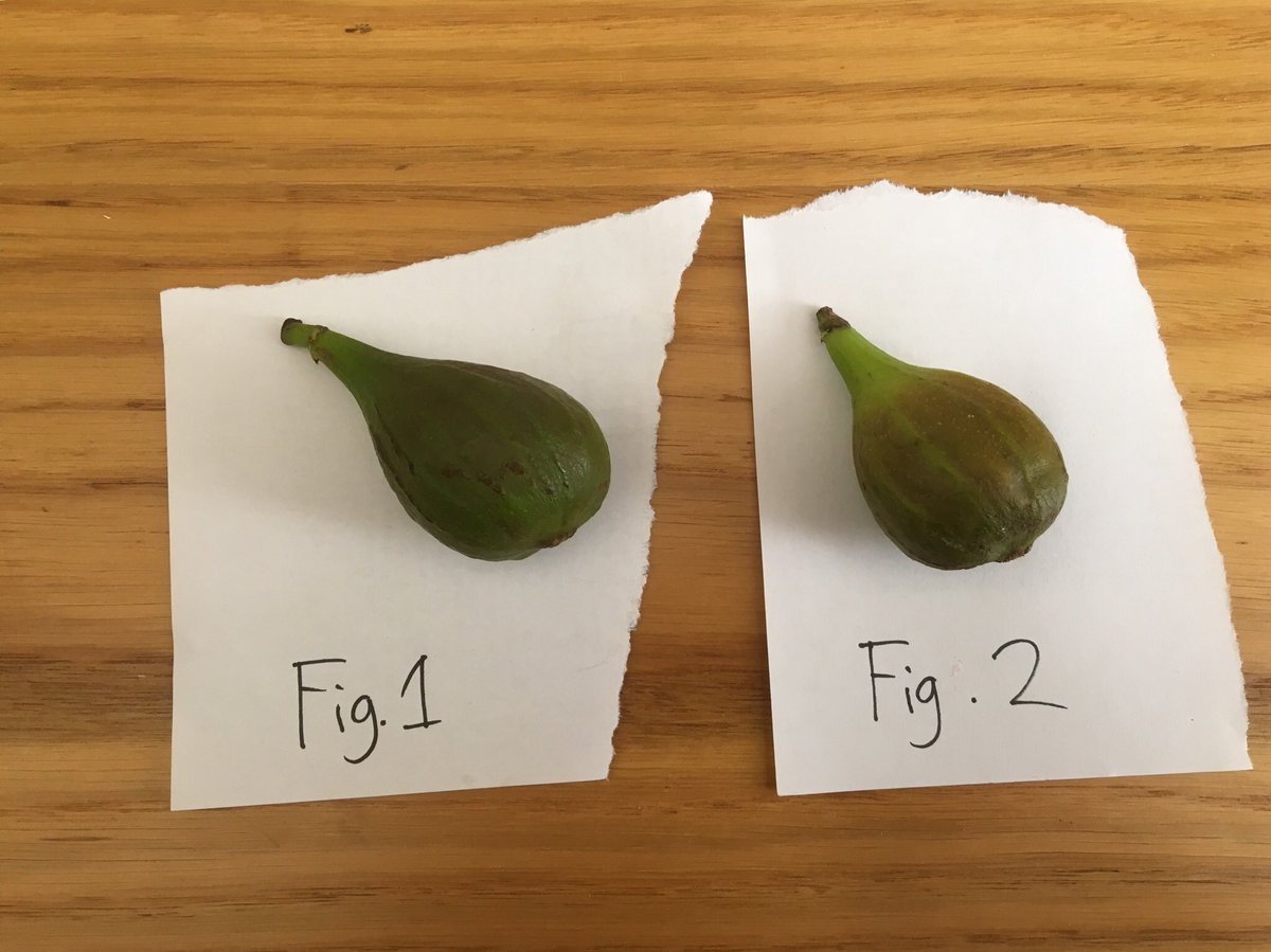 Laura Moody tweet media