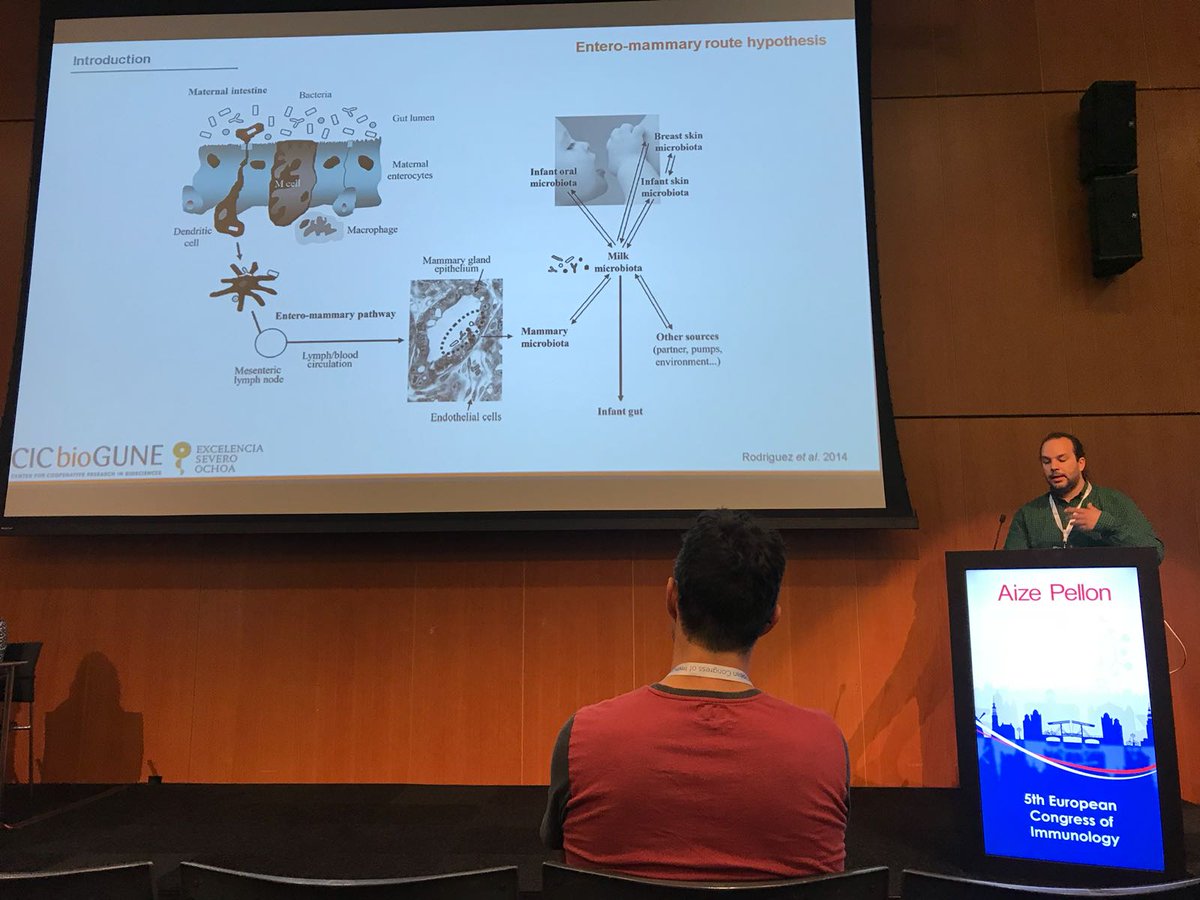 AnguitaLab's tweet photo. Some pictures of the talk Aize has just given at #ECI2018 in #Amsterdam #AnguitaLab @CICbioGUNE @SEinmunologia @EFIS_Immunology https://t.co/EcPu3AjQue