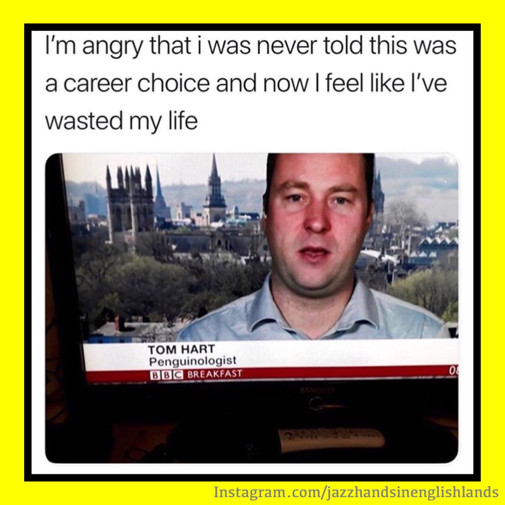 Award for best job title ever goes to... #Penguin #LovingLife #BestJobEver  #BBCBreakfast #BreakfastNews #NewsReport #AnimalMemes #ICantEven #AndWhyNot  #CanYouImagine #NothingElseLikeIt #LoveIt #FunnyNews #FunnyPhoto #FunnyPic  #GoodMeme #Penguinologist ...