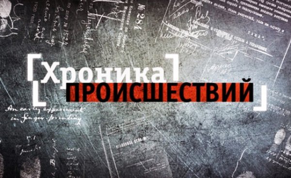Разборка на заправке, костер во дворе и странное отравление — что произошло в Сосновом Бору в первые дни сентября mayaksbor.ru/news/society/r…