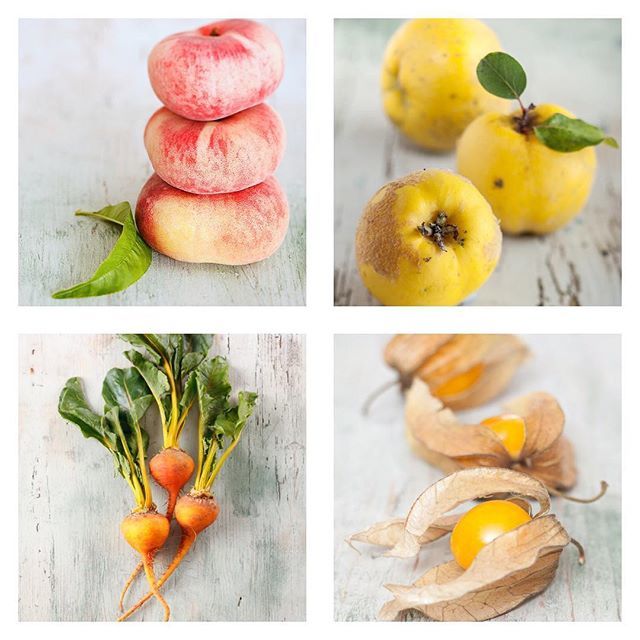 Deborah Husk tweet media