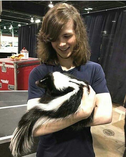 a cute pic of Carl and Negan together I see

 @SvckMyBat