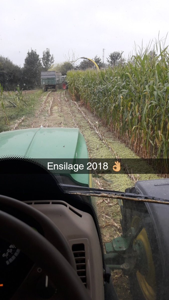 Début des ensilage de maïs pour nous 👌 le rendement va être bon 😃