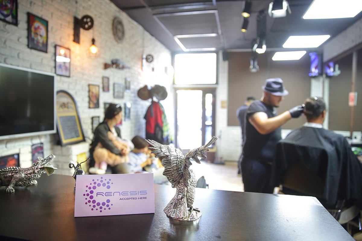 RenesisProject's tweet image. 