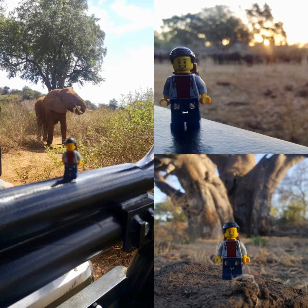 EventAlchemy's tweet photo. Who can complain about site visits when they take you to places that look like this 🤔

#eventalchemycreation #eventalchemy #event #sitevisit #Charlie https://t.co/frekGmWPmA