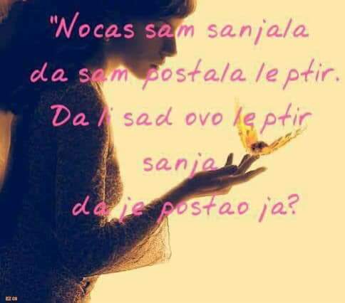 Pinkruza's tweet photo. Dobar dan😊😉 https://t.co/D7LN4WlpY3