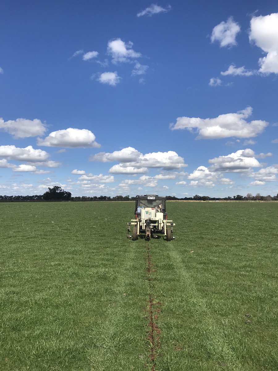 Kyam Shapcott tweet media