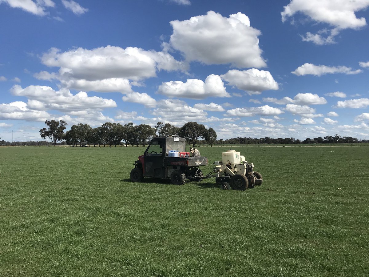 Kyam Shapcott tweet media