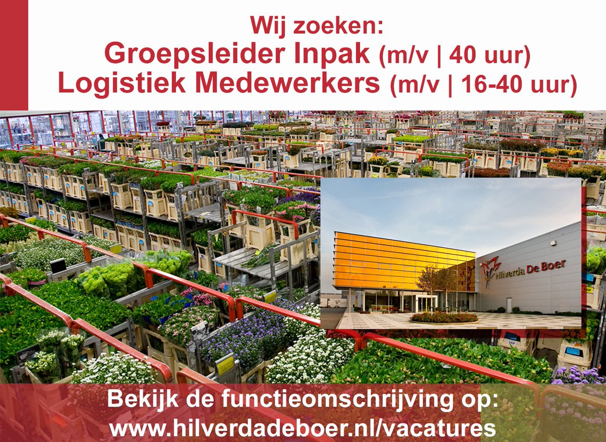 hilverdadeboer's tweet photo. Groei jij met ons mee? We zijn op zoek naar een Groepsleider Inpak en Logistiek Medewerkers. Solliciteer vandaag nog of tag de kandidaat waar wij naar op zoek zijn! Tot snel!
#Vacature #Groepsleider #teamleider #Inpak #Logistiek #DeKwakel #Aalsmeer #sollicitatie #bloemen https://t.co/gUFQMRceK5