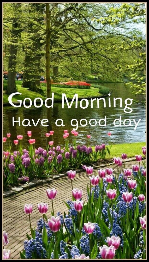 Lindalo7151's tweet photo. @abdulla05442160 https://t.co/C7OWnnWuaR