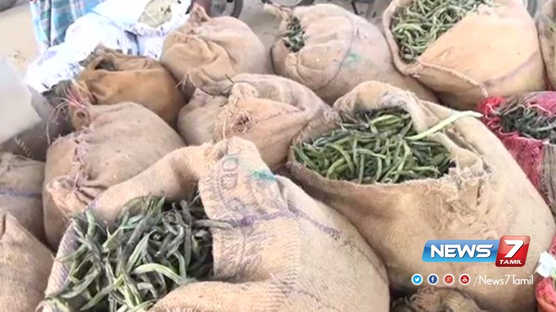 news7tamil's tweet photo. சேலம் மாவட்டத்தில் அவரைக்காய் விலை சரிவு!
விவரம்: https://t.co/fpEnI4Xnct | #Salem | #PriceDeclines https://t.co/TD2fQsU6F9