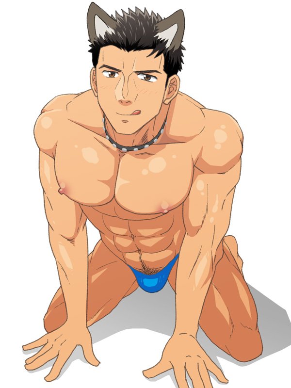 Imagen Y Video Lista De Miniaspara Whotwi Grafica De Analisis De Twitter