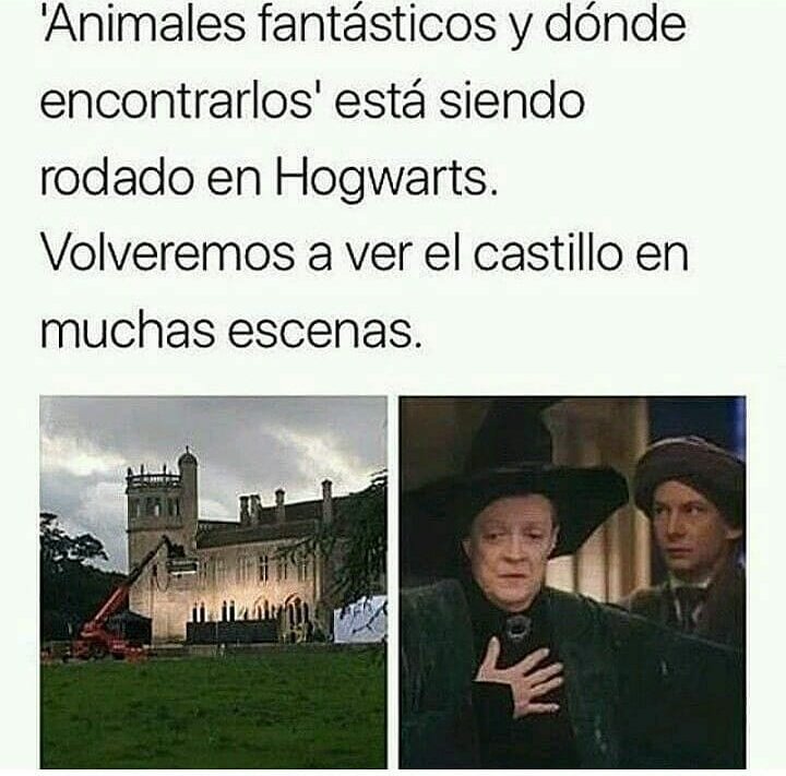 Harry Potter y Animales Fantásticos Chistes y Memes en Español.