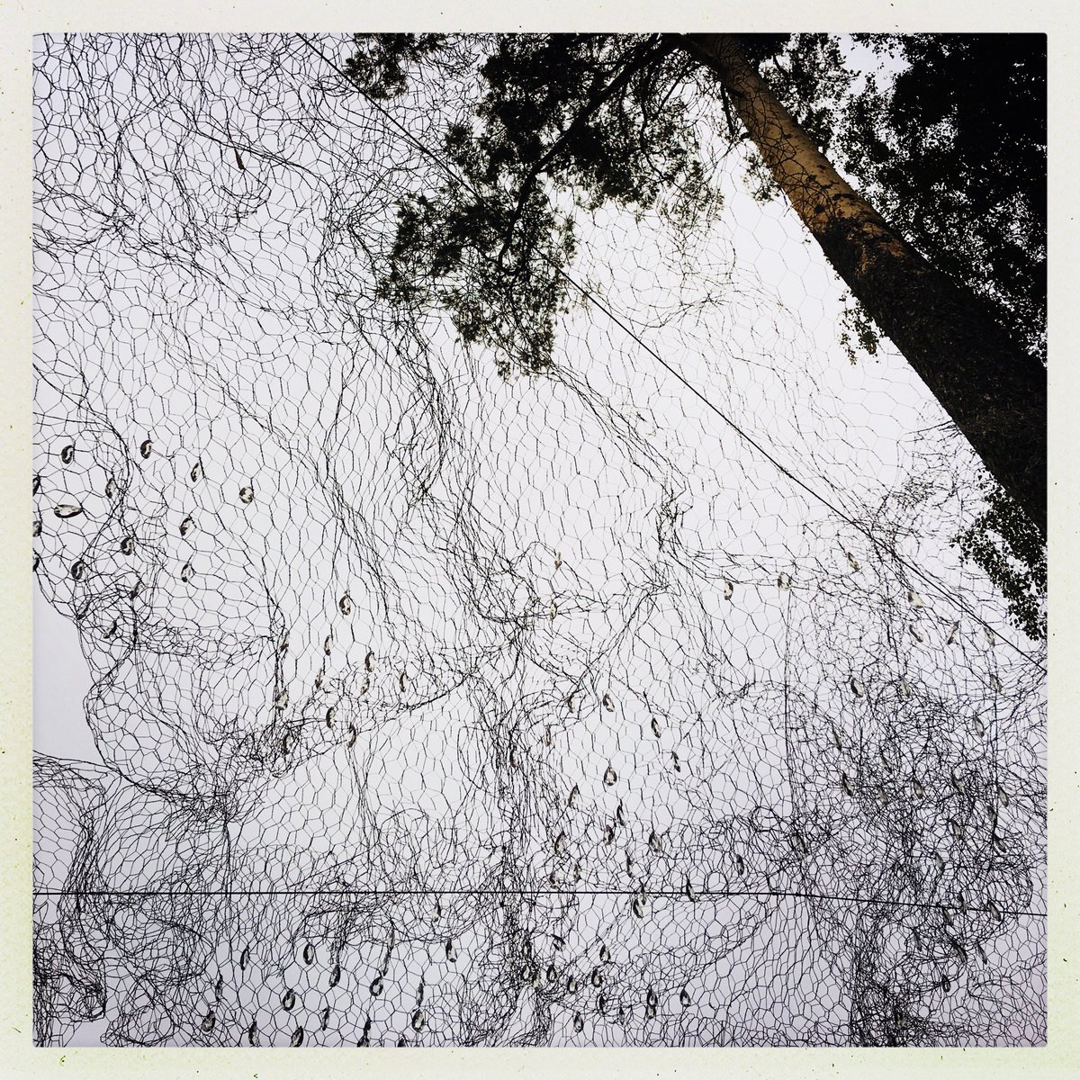 AnneKinnunen1's tweet image. #thenet