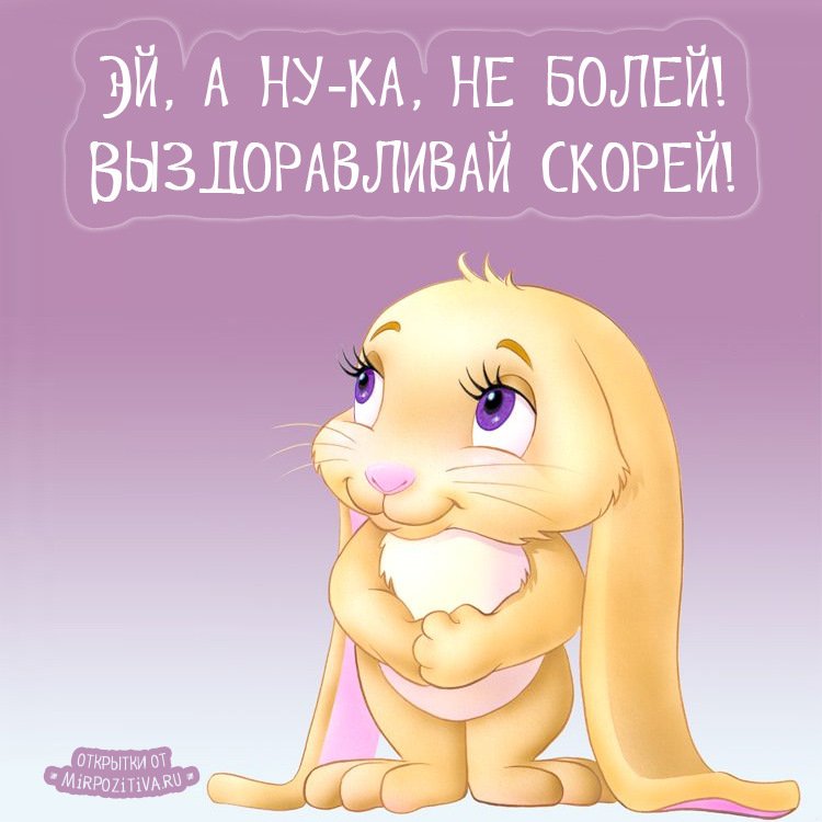 Приколом совы, открытки любимой девушке чтобы выздоровела