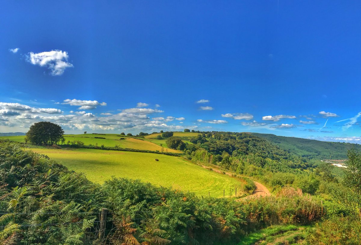 OffRoadWales's tweet photo. Just.....because.

#GetOffroad #MTB #cycling https://t.co/t8Fog3kt1x