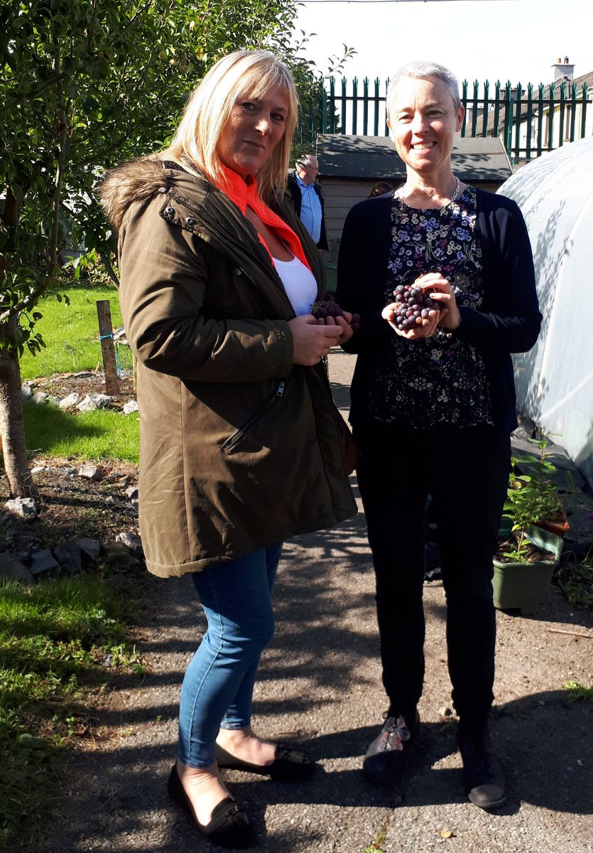 Mullingar RAPID tour! 
The sun shone on the community garden in Dalton Park, Mullingar today when members of the RAPID team paid a visit and sampled the apples and grapes!  #communityeducation <a href="/westmeathcoco/">Westmeath County Council</a>