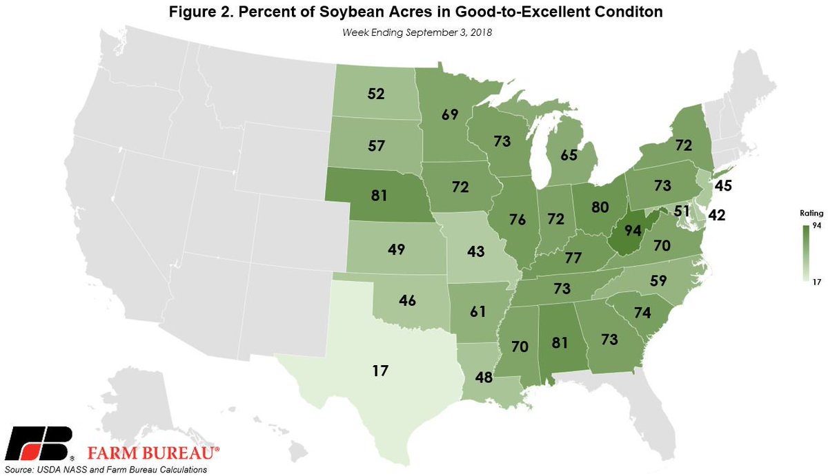 Corn and Soybean Crop Conditions Hold Steady
With September arriving and fall on the horizon, crop conditions for corn and soybeans continue to remain above prior-year and five-year average levels.