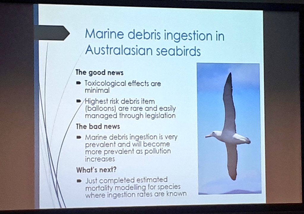 Beth Clark tweet media