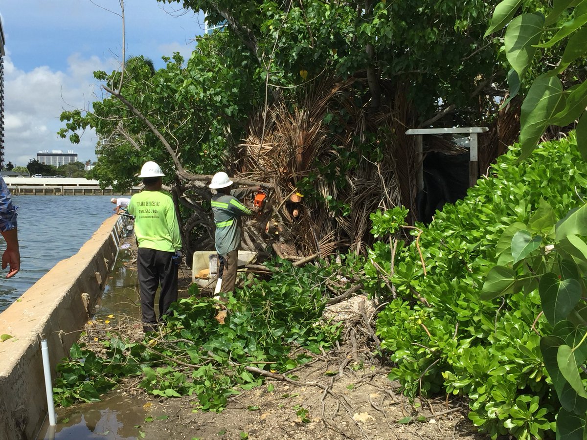 CynthiaC305's tweet photo. In my last week as Acting Administrator of Wynwood/Edgewater NET I am happy to inform the residents that together with FDOT, DBI, Homeless Program, Police and NET we are cleaning out the Julia Tuttle Causeway. Homeless outreach and clean up. #WynwoodEdgewaterNET https://t.co/TOPjU59bRQ