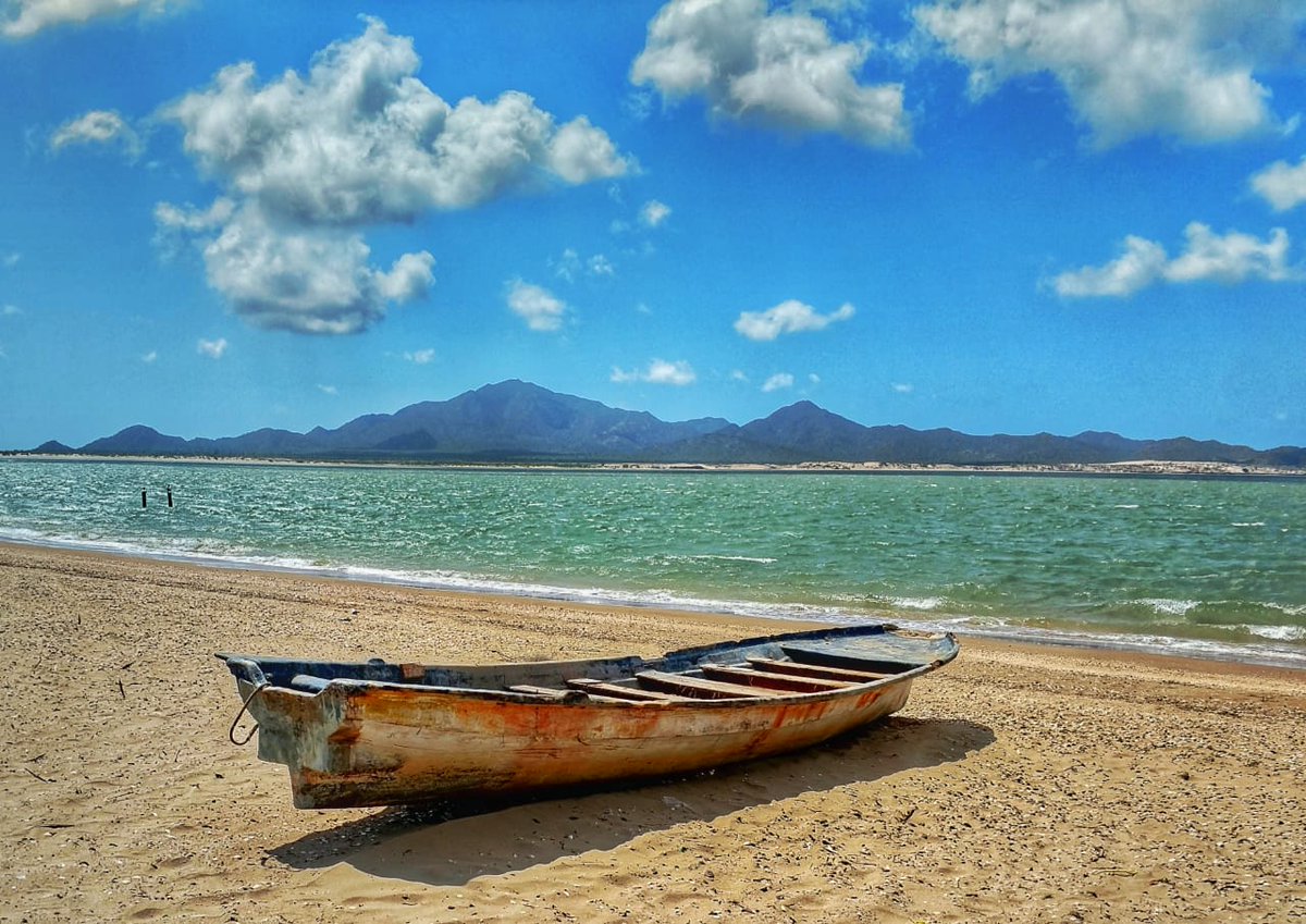 ¡Descubre Kino Mágico!